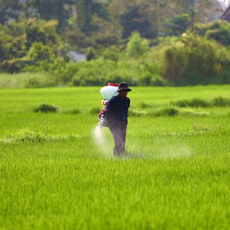 Agriculture & Fertilizers